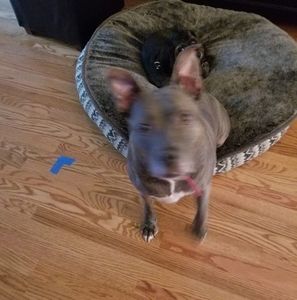 Meet your Posher, Sherrod